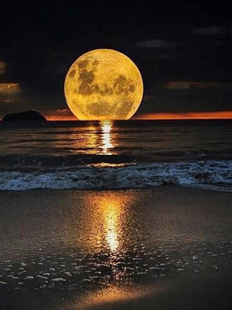 768x1024 Moon Night Scene Wallpaper HD for Android