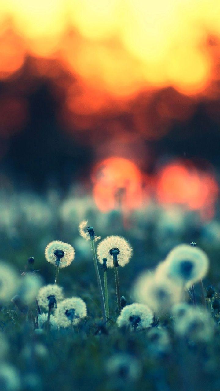 720x1280 Popular Rainbow Galaxy S3 Wallpaper