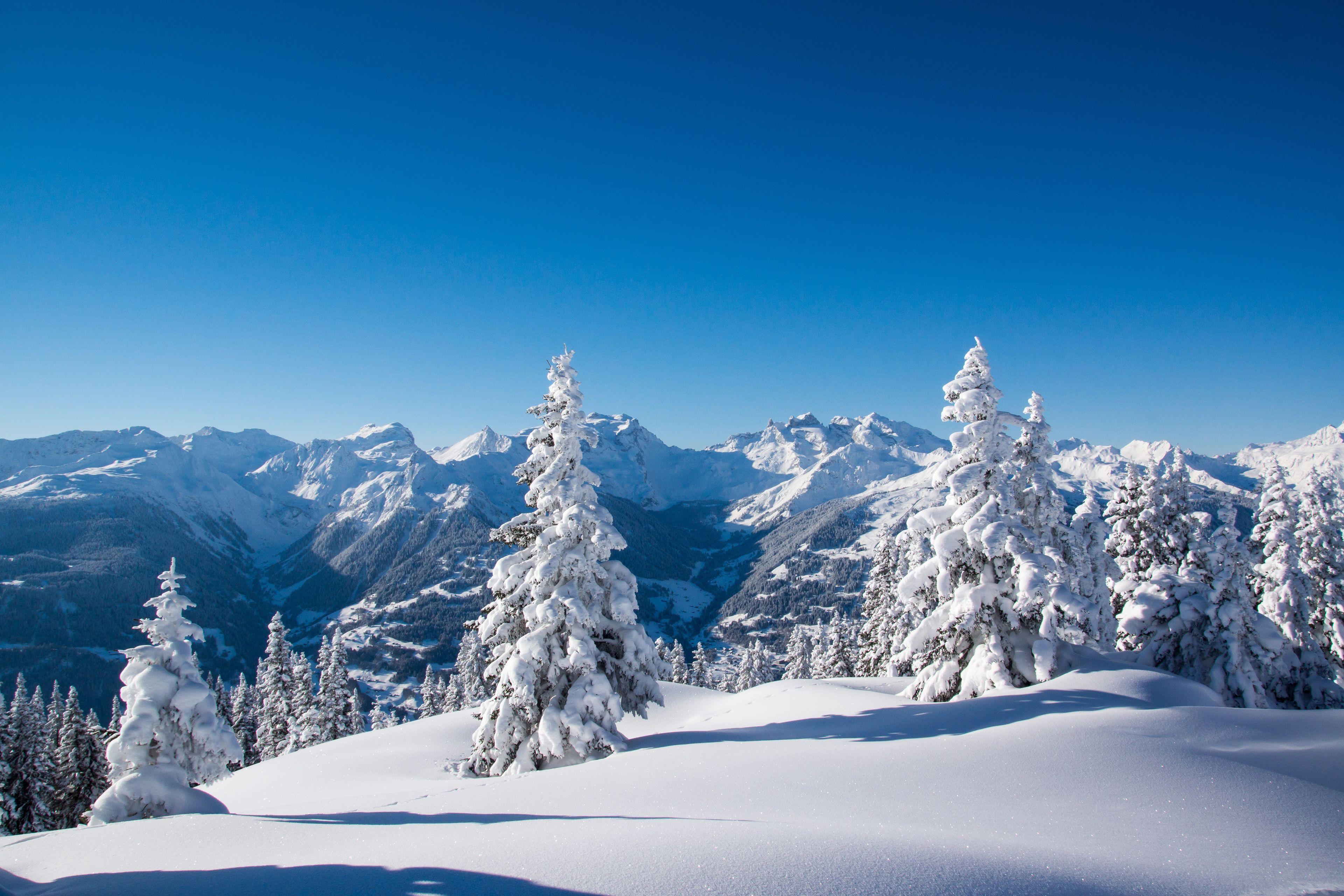Winter Snow 4K Wallpapers Top Free Winter Snow 4K Backgrounds 