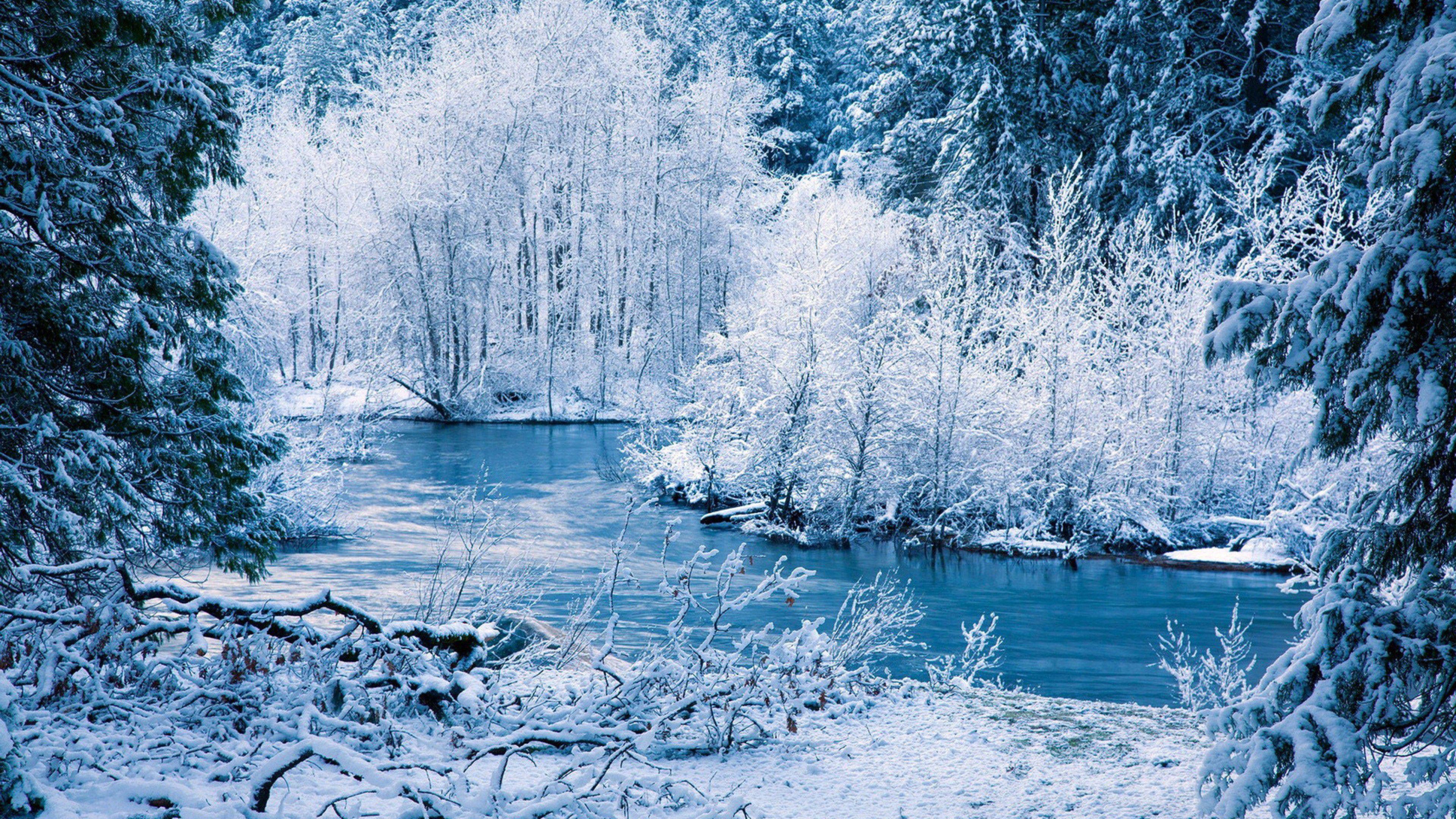 Featured image of post Desktop Backgrounds 4K Snow / Tree in snow covered landscape with blue sky in background.