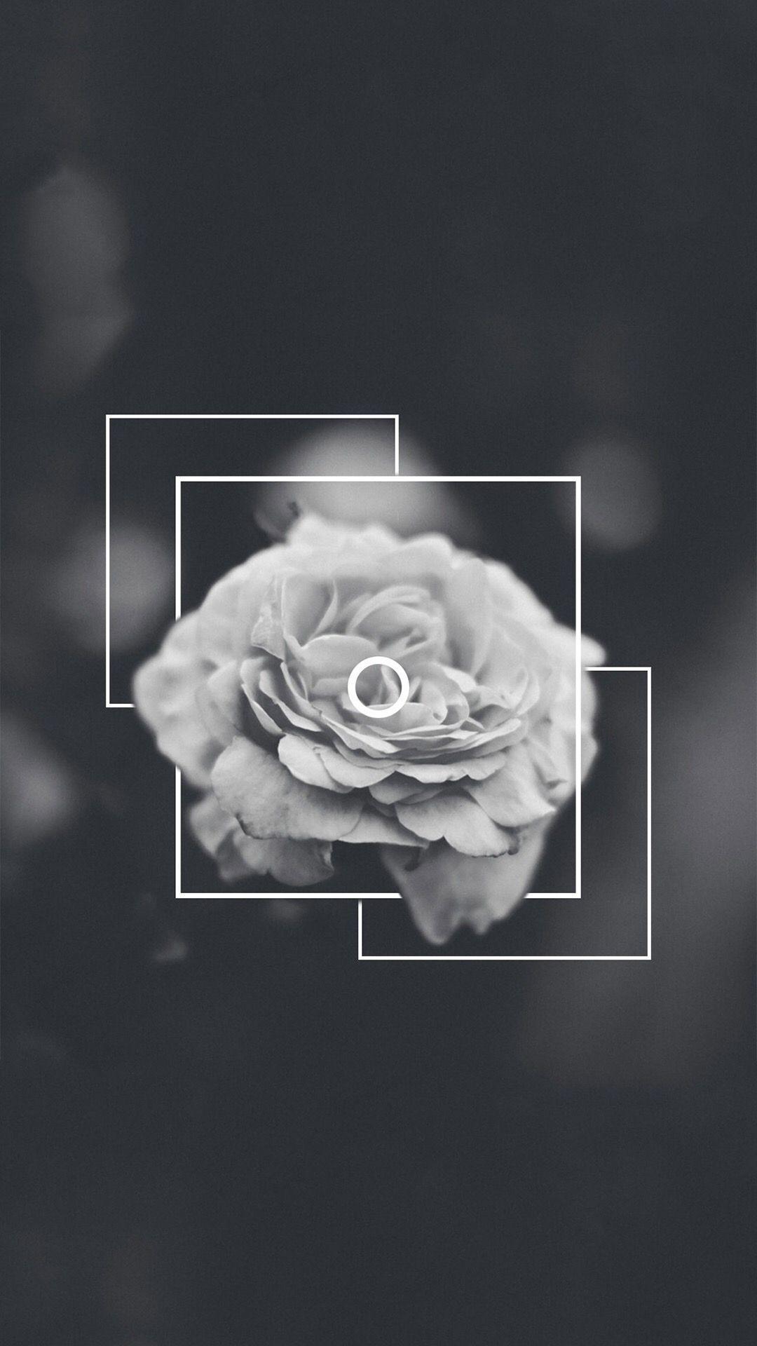 1080x1920 Black And White Flowers Wallpaper
