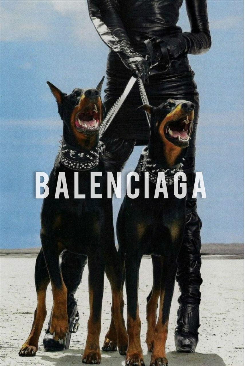 Doberman Balenciaga Dog Luxury Hypebeast Classy Art Print Poster  eBay