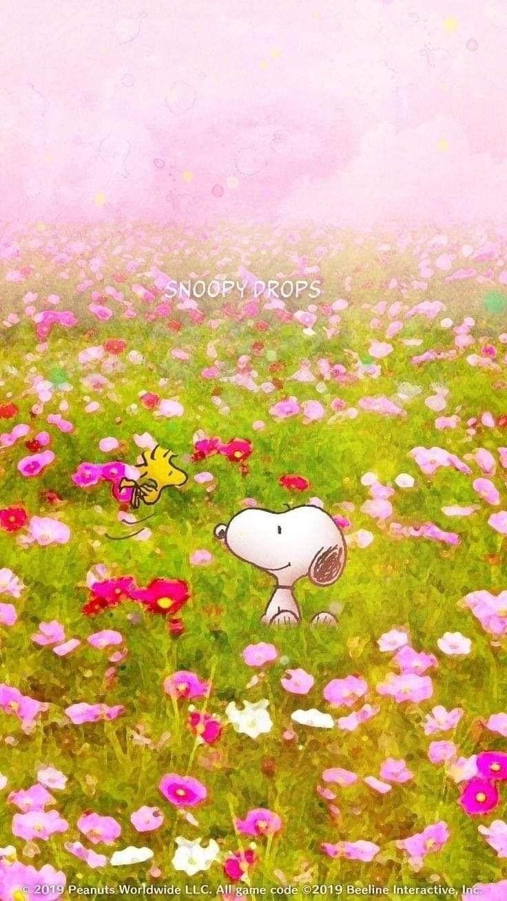 Snoopy Spring Wallpapers - Top Free Snoopy Spring Backgrounds