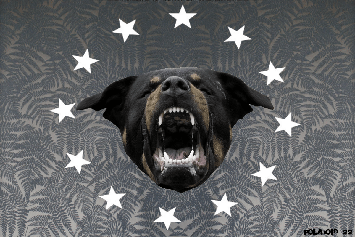 1200x800 Givenchy Wallpaper