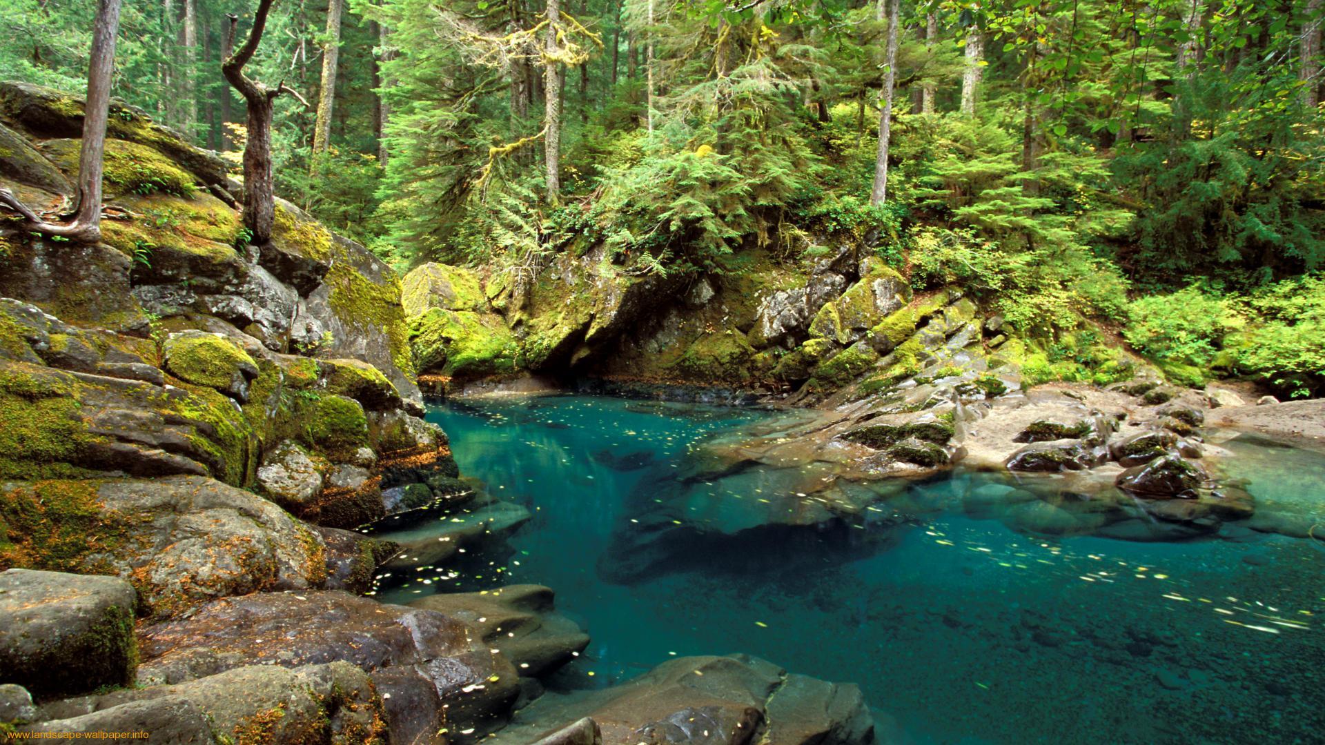 1920x1080 Rivers, wallpaper, creeks, scenery, image, wmwallpaper