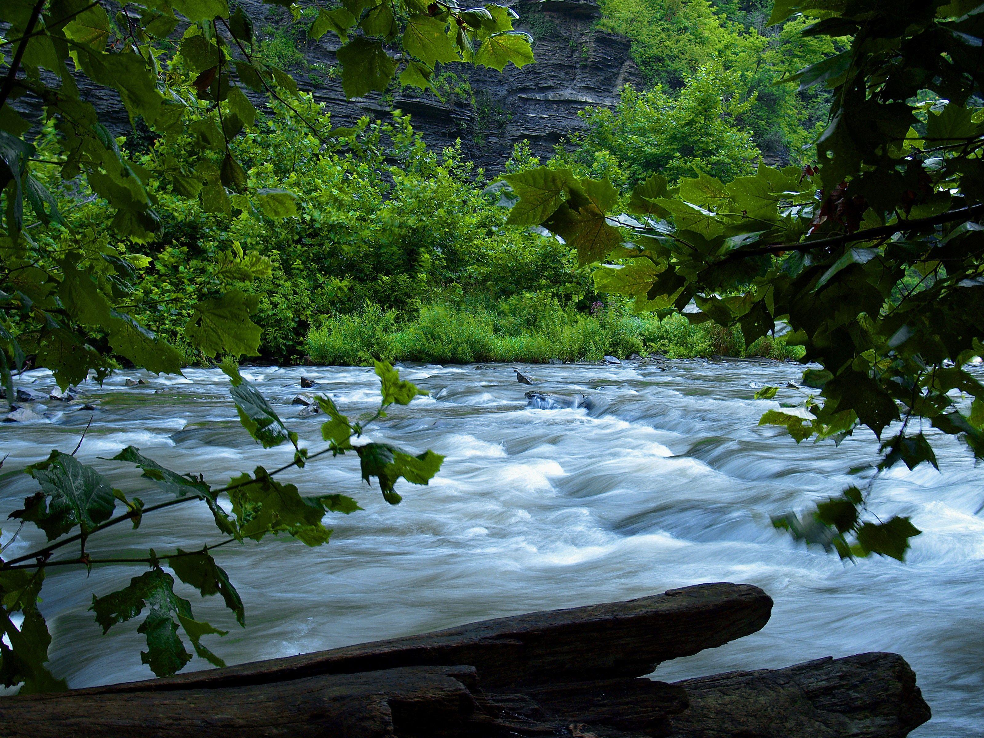 Воздух быстрая река. Природа течение реки. Речка течение. В течении реки. Быстрая река.