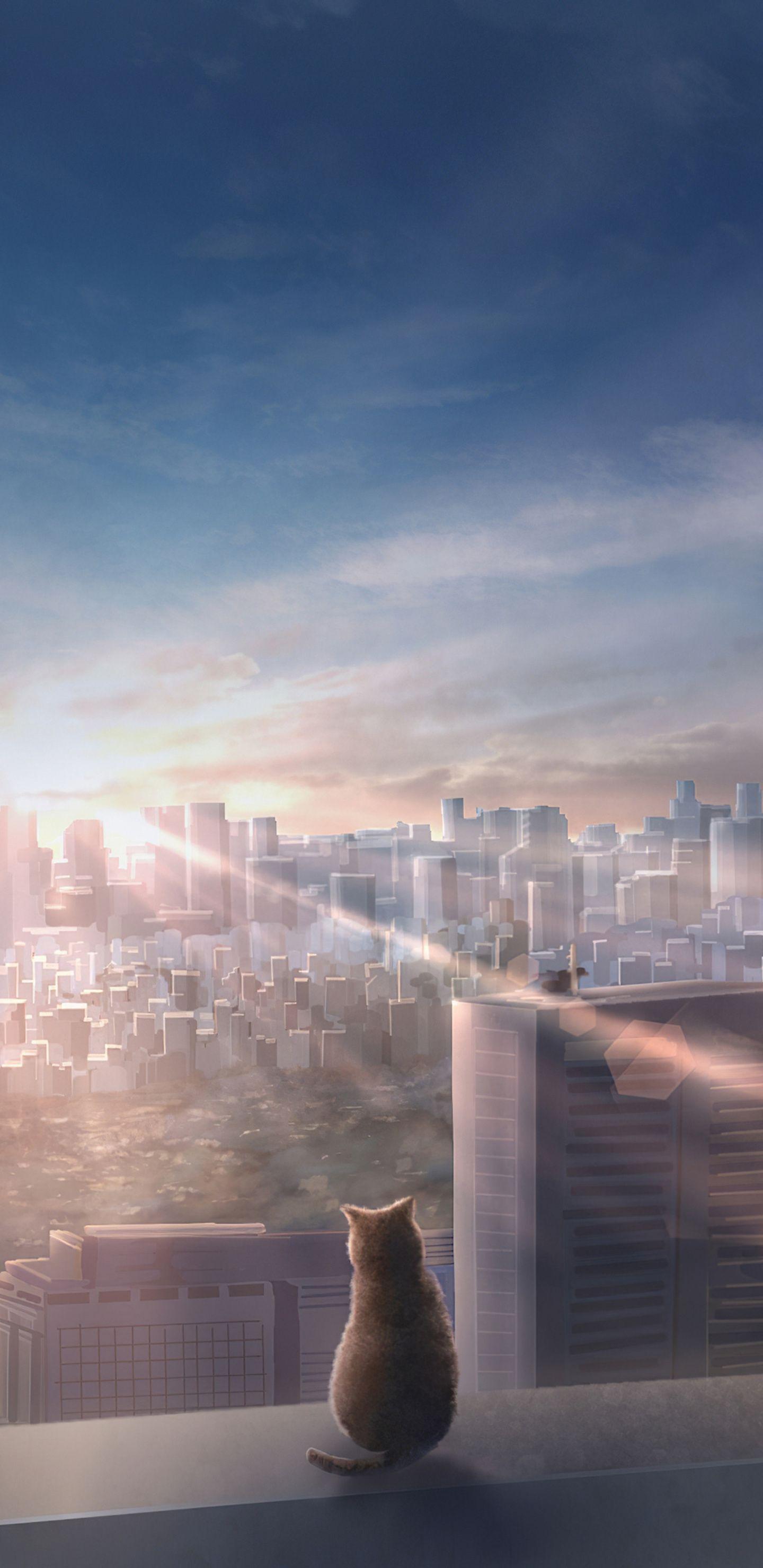 Aesthetic Anime Cat Wallpapers Top Free Aesthetic Anime Cat