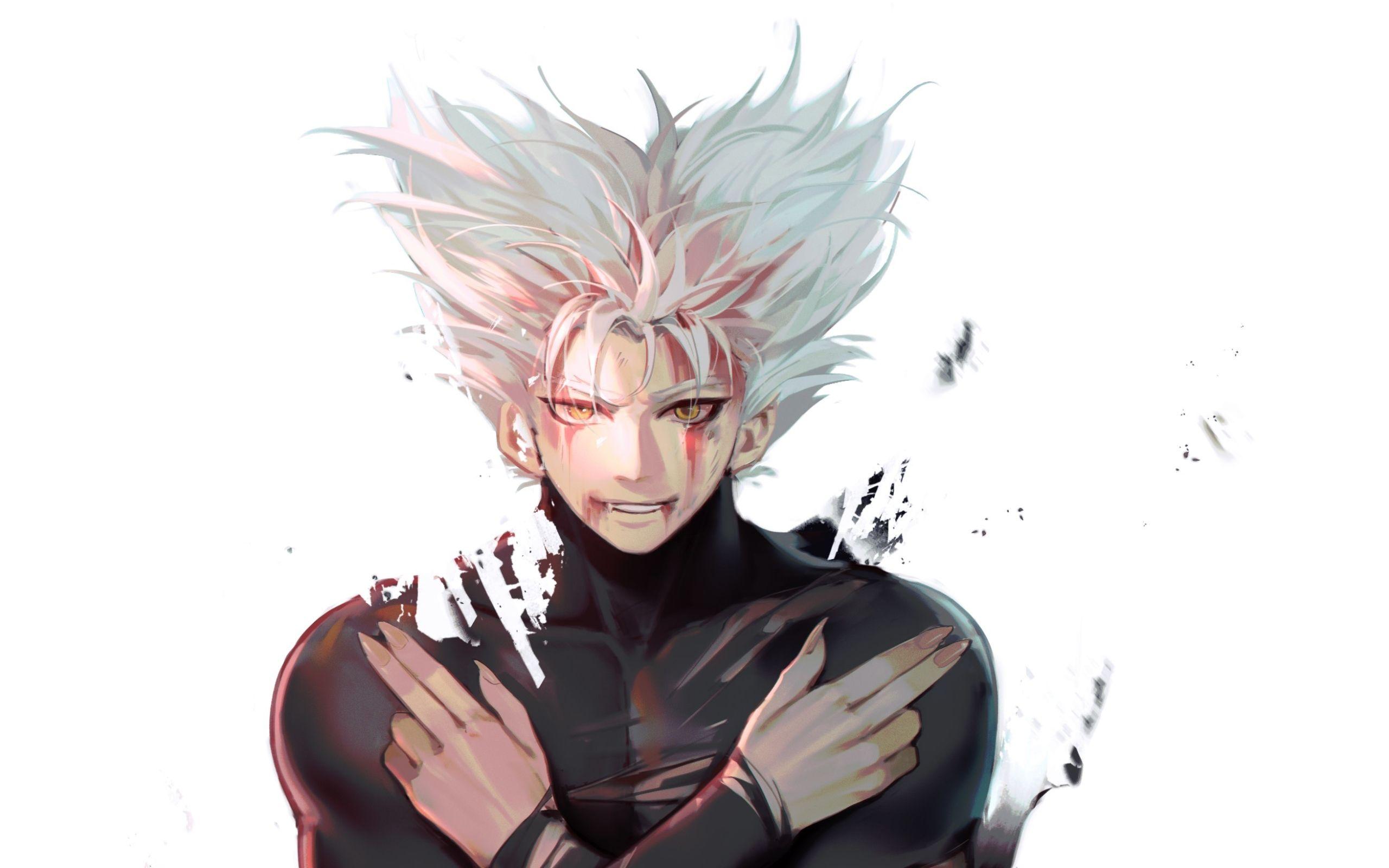 Awakened Garou, one punch man, kylokun, hero hunter, awakened garou, opm,  HD phone wallpaper