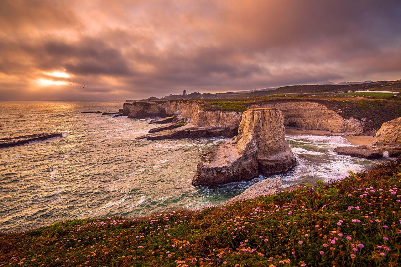 1280x854 Desktop Wallpaper California USA Santa Cruz Cliff Nature Bellis