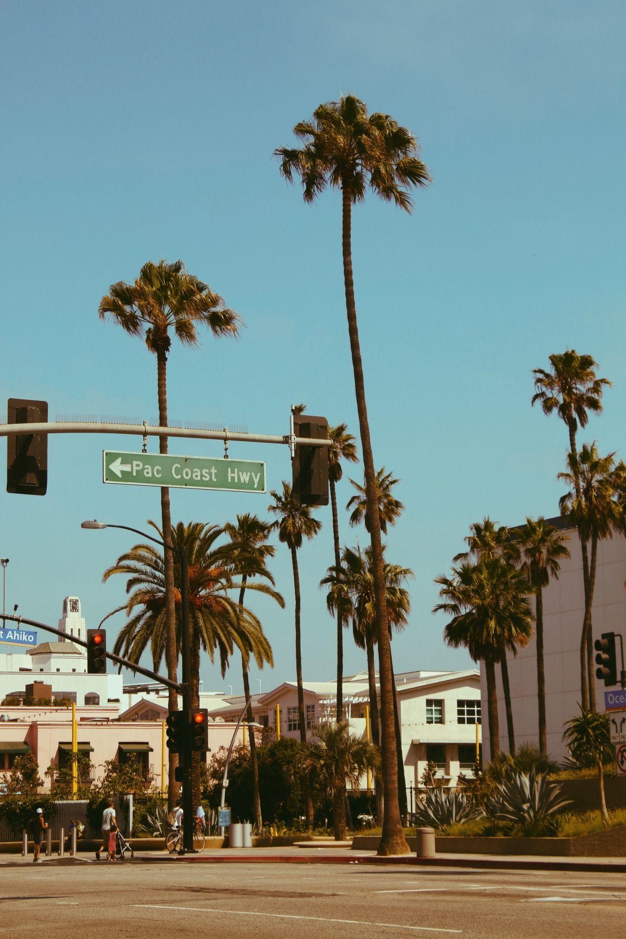 1280x1920 This is why you should live in California! Best Beaches Southern California, Surfing the Cali. California wallpaper, Los angeles palm trees, California palm trees