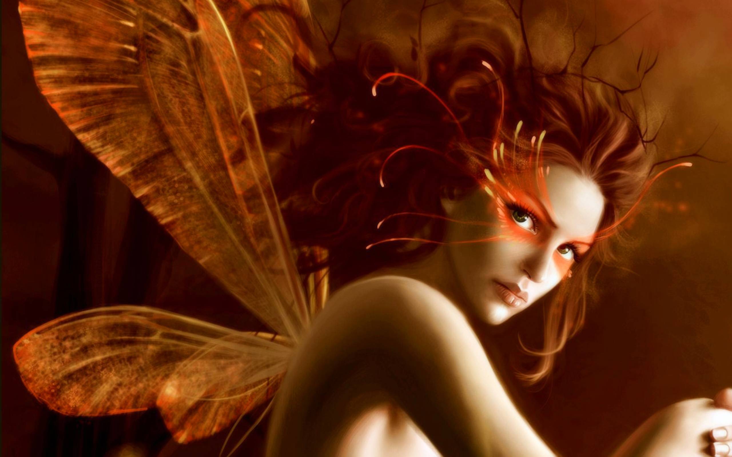 2560x1600 Fairy Wallpaper