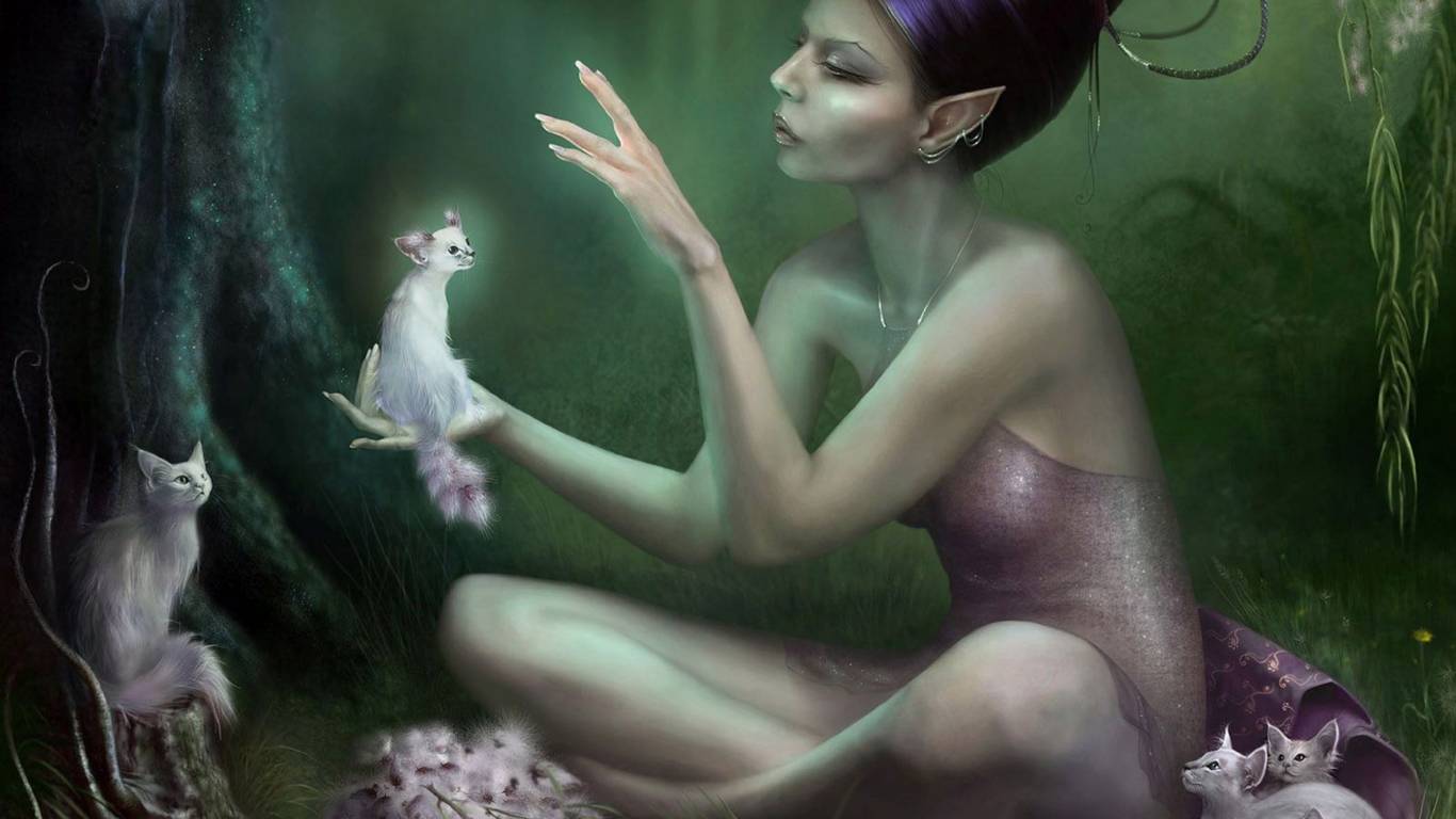 1366x768 Girl, Fairy, Wood, Cat, background, free, photo