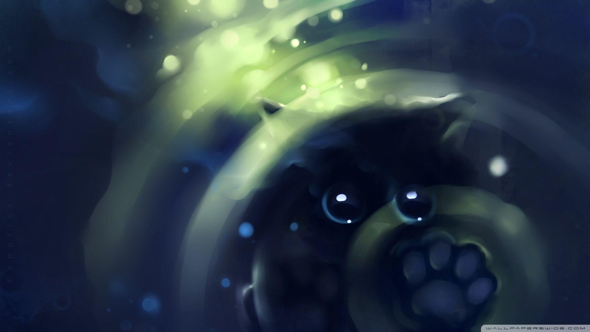 1920x1080 Kitty Reflection Painting Ultra HD Desktop Background Wallpaper for 4K UHD TV : Widescreen & UltraWide Desktop & Laptop : Tablet