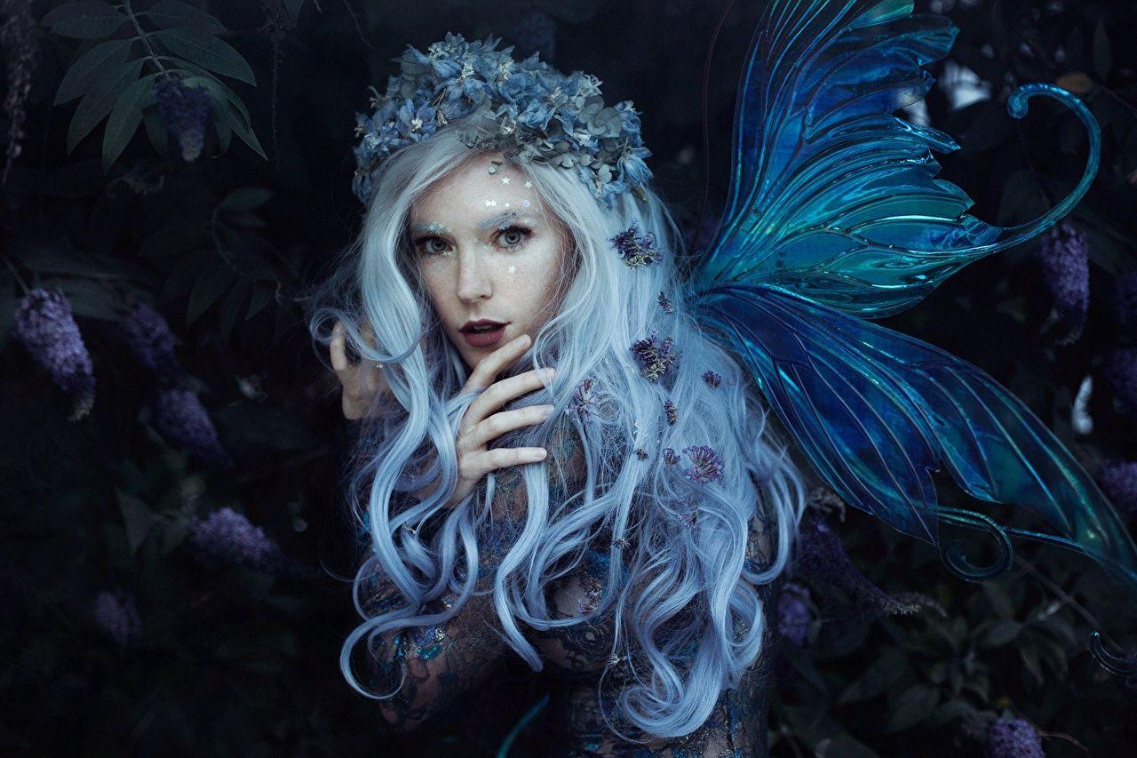1280x853 Wallpaper Fairies Blonde girl Wings Bella Kotak, Jessica Dru, Violet