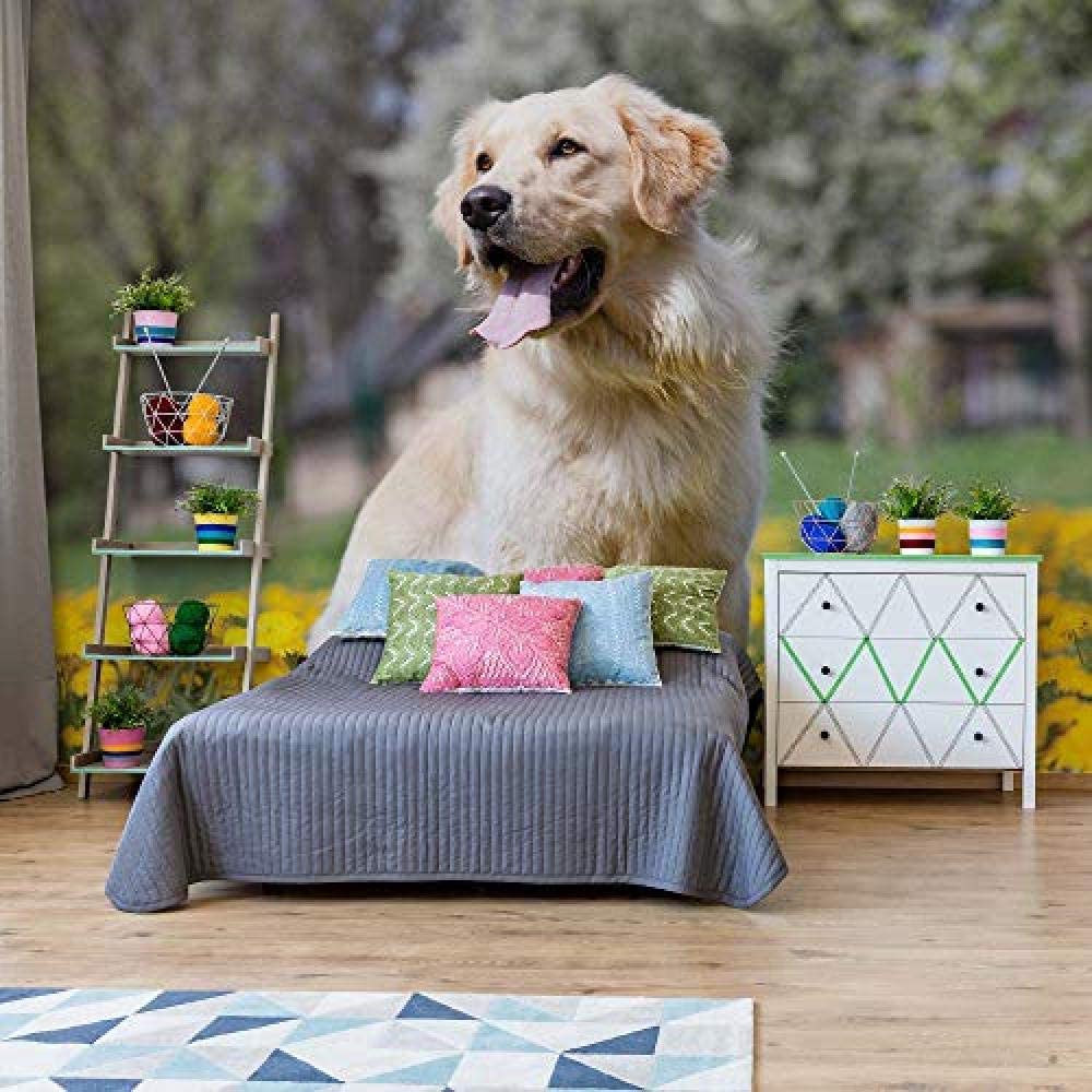 1000x1000 Wallpaper 3D Golden Retriever Dog Wallpaper Wall Mural Animal And Life Living Room Bedroom Tv Sofa Background Wall Mural 3D Wallpaper 430Cmx300Cm
