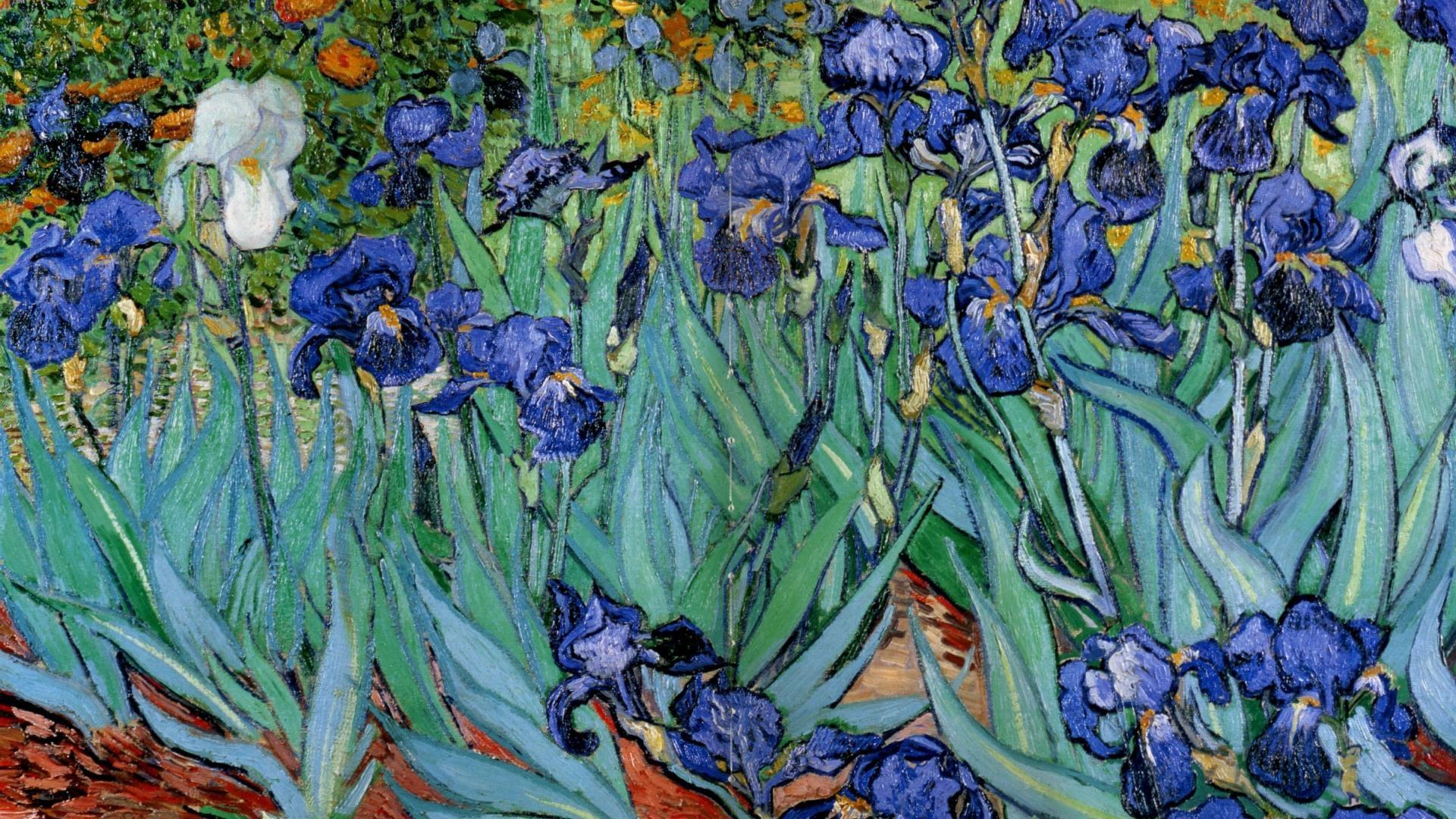 1920x1080 Free download Paintings vincent van gogh wallpaper 119809 [1920x1080] for your Desktop, Mobile & Tablet. Explore Van Gogh Desktop Wallpaper. Vincent Van Gogh Wallpaper, Van Gogh Wallpaper Border, Starry Sky Wallpaper