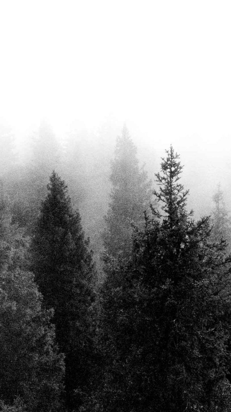 750x1334 Free download Tumblr Indie Photography Boho background for tumblr [2560x1440] for your Desktop, Mobile & Tablet. Explore Indie Wallpaper. Indie Wallpaper Tumblr, Indie Desktop Wallpaper, British West Indies Wallpaper