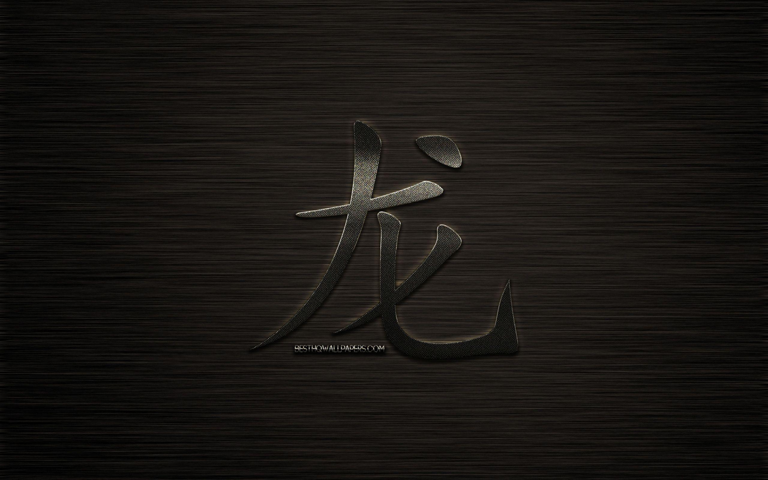 2560x1600 Download wallpaper Dragon hieroglyph, chinese zodiac sign, metal hieroglyph, Dragon kanji hieroglyph, dark metal background, year of the Dragon, chinese horoscope, Dragon, chinese zodiac signs for desktop with resolution 2560x1600. High Quality