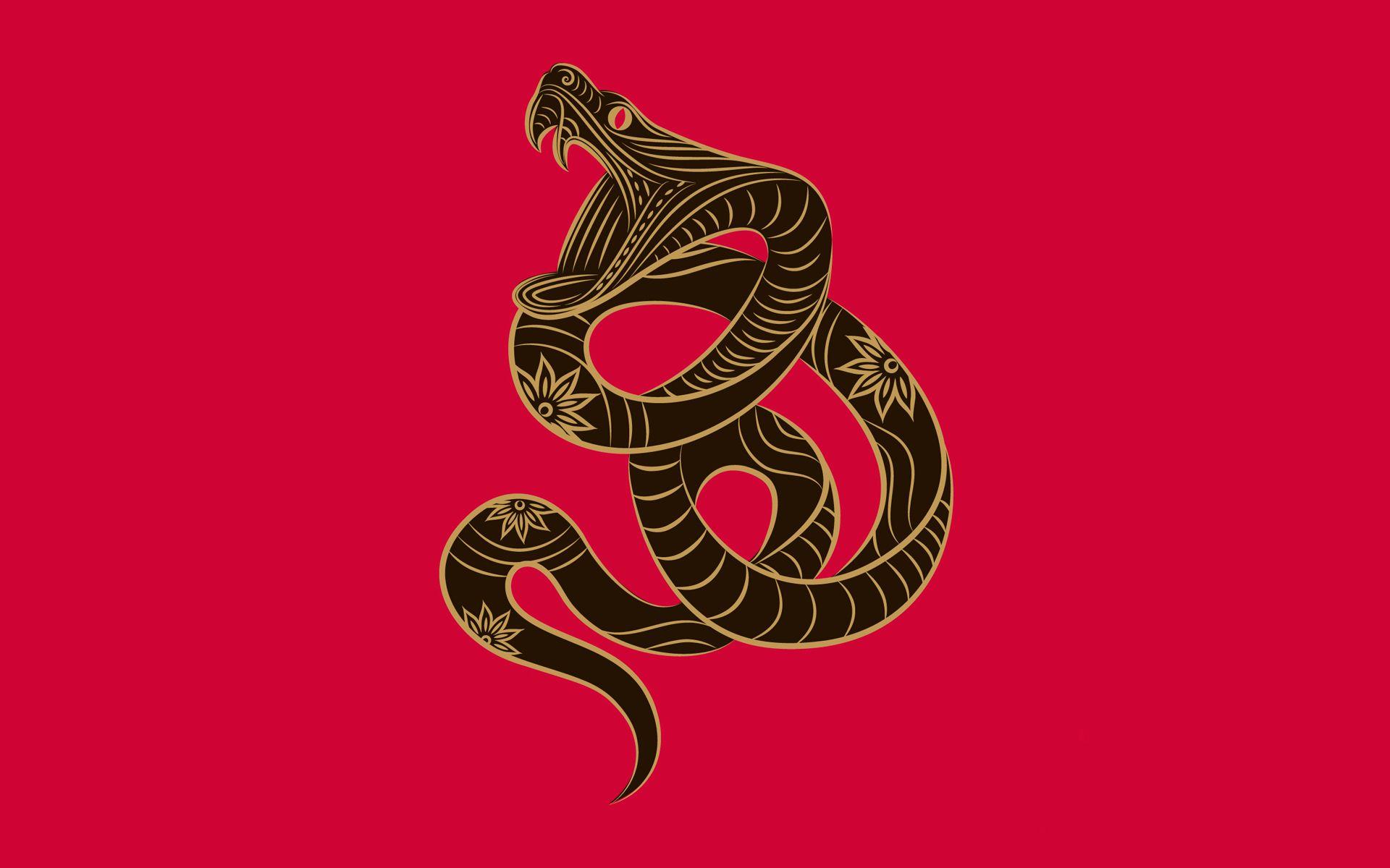 1920x1200 Chinese Zodiac Dragon wallpaper. Chinese Zodiac Dragon