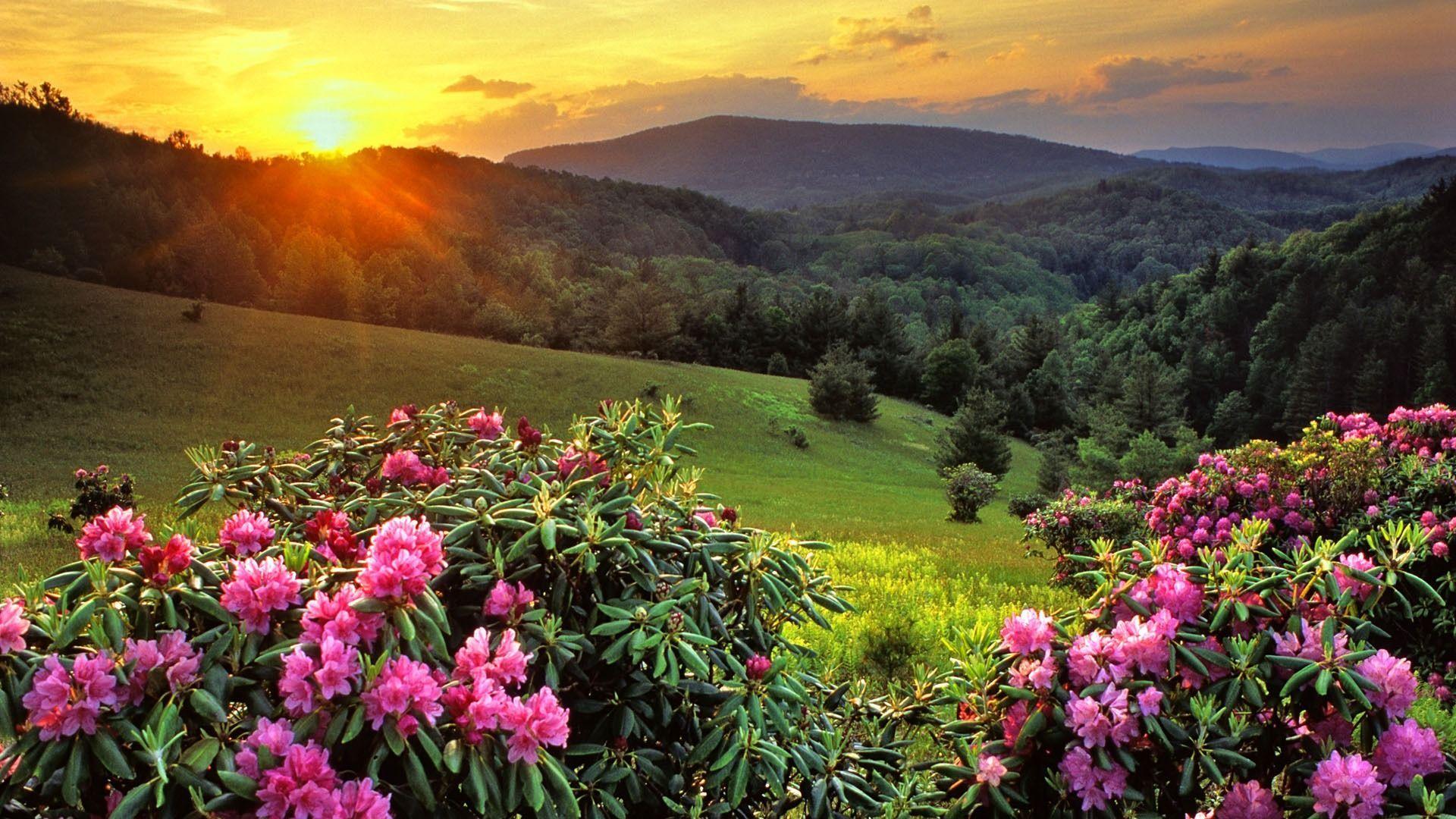 1920x1080 Scenery HD Wallpaper. Natural Scenery Image