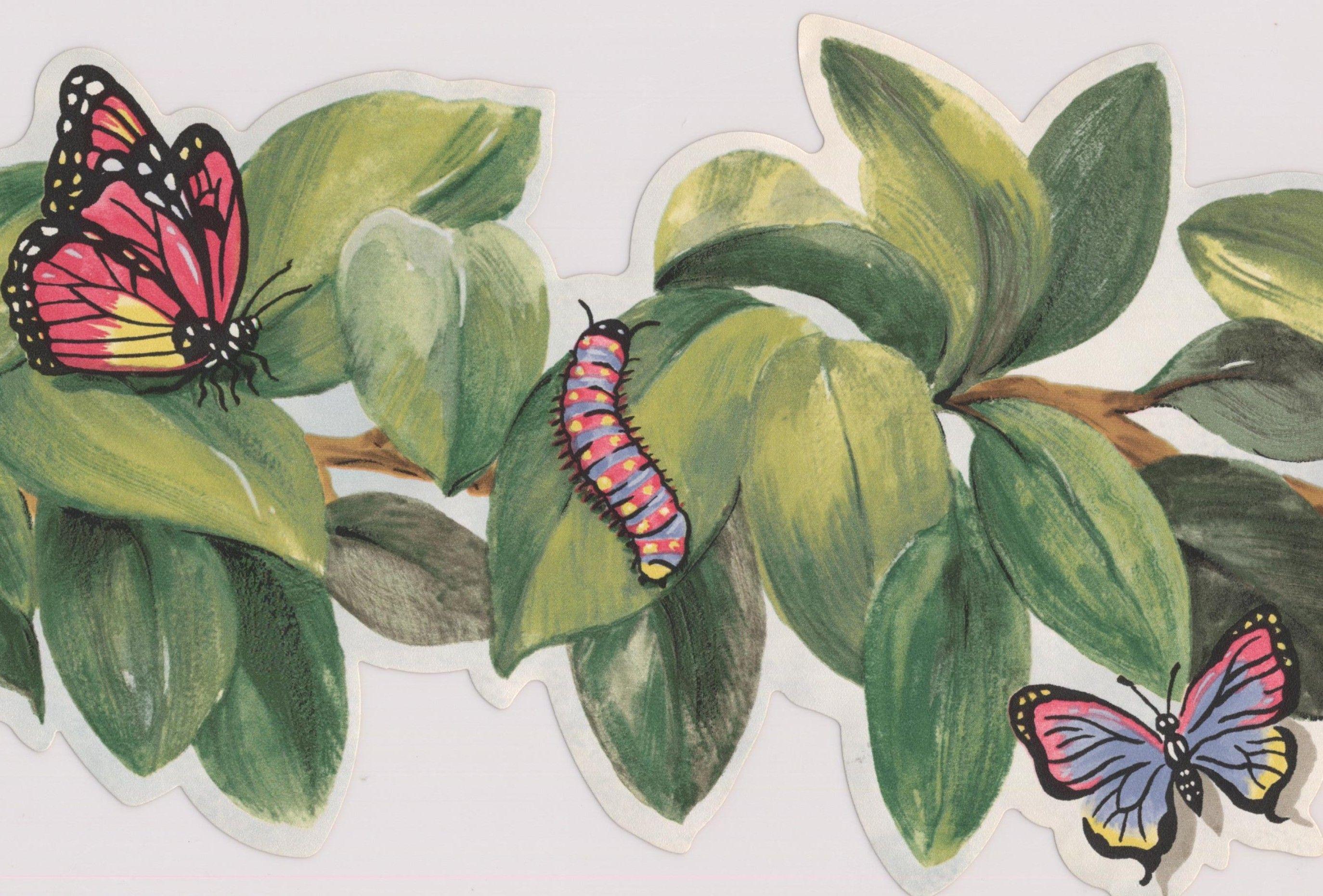 2748x1862 Bee Butterfly Ladybug Dragonfly Caterpillar on Leaves on Vine Wallpaper Border Retro Design, Roll 15' x 6''