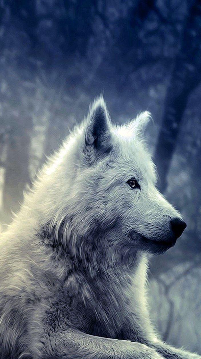 704x1252 Galaxy S3 Wolf Wallpaper Wallpaper.Pro