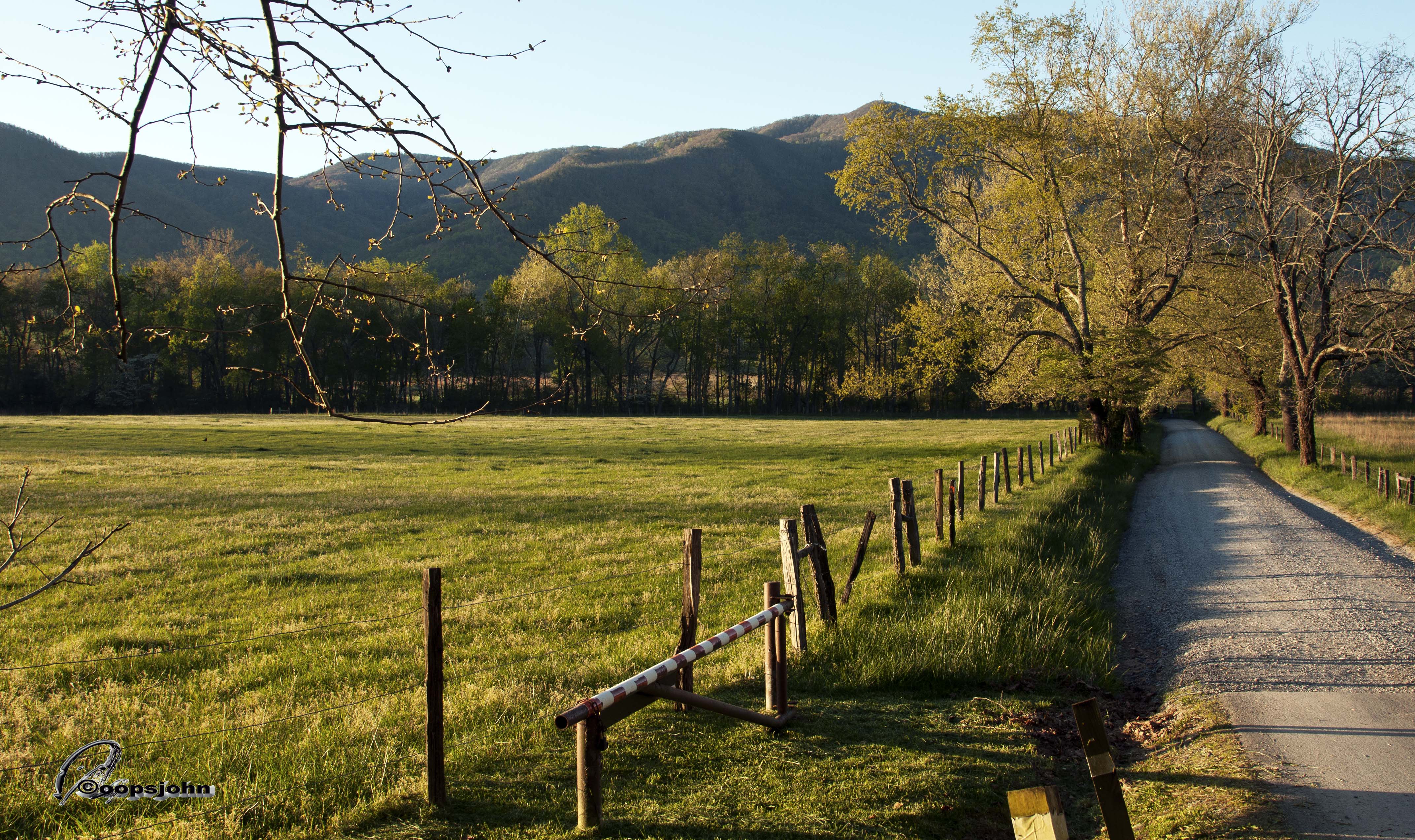 4288x2547 Free download Cades Cove Image TheCelebrityPix [4288x2547] for your Desktop, Mobile & Tablet. Explore Cades Cove Desktop Wallpaper. Smoky Mountain Wallpaper Free, Smoky Mountains Spring Wallpaper