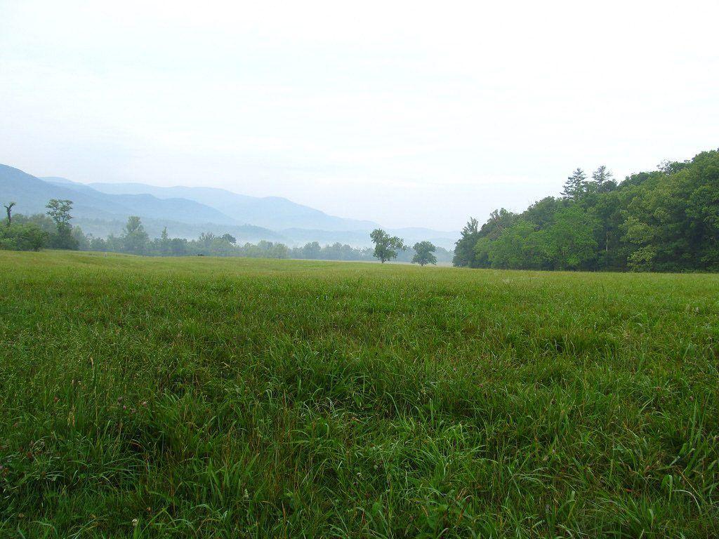1024x768 Cades Cove