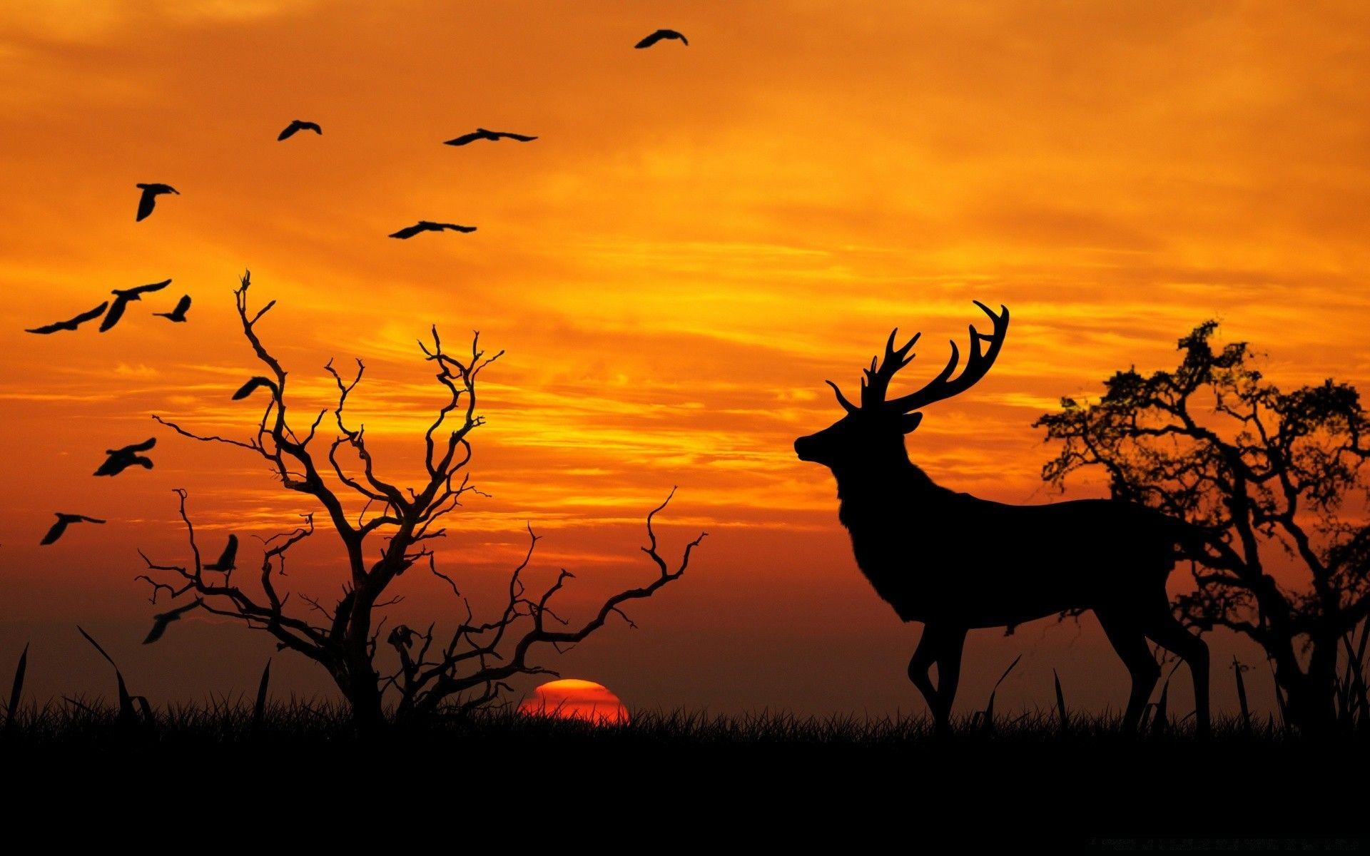 1920x1200 Fantasy Sunset