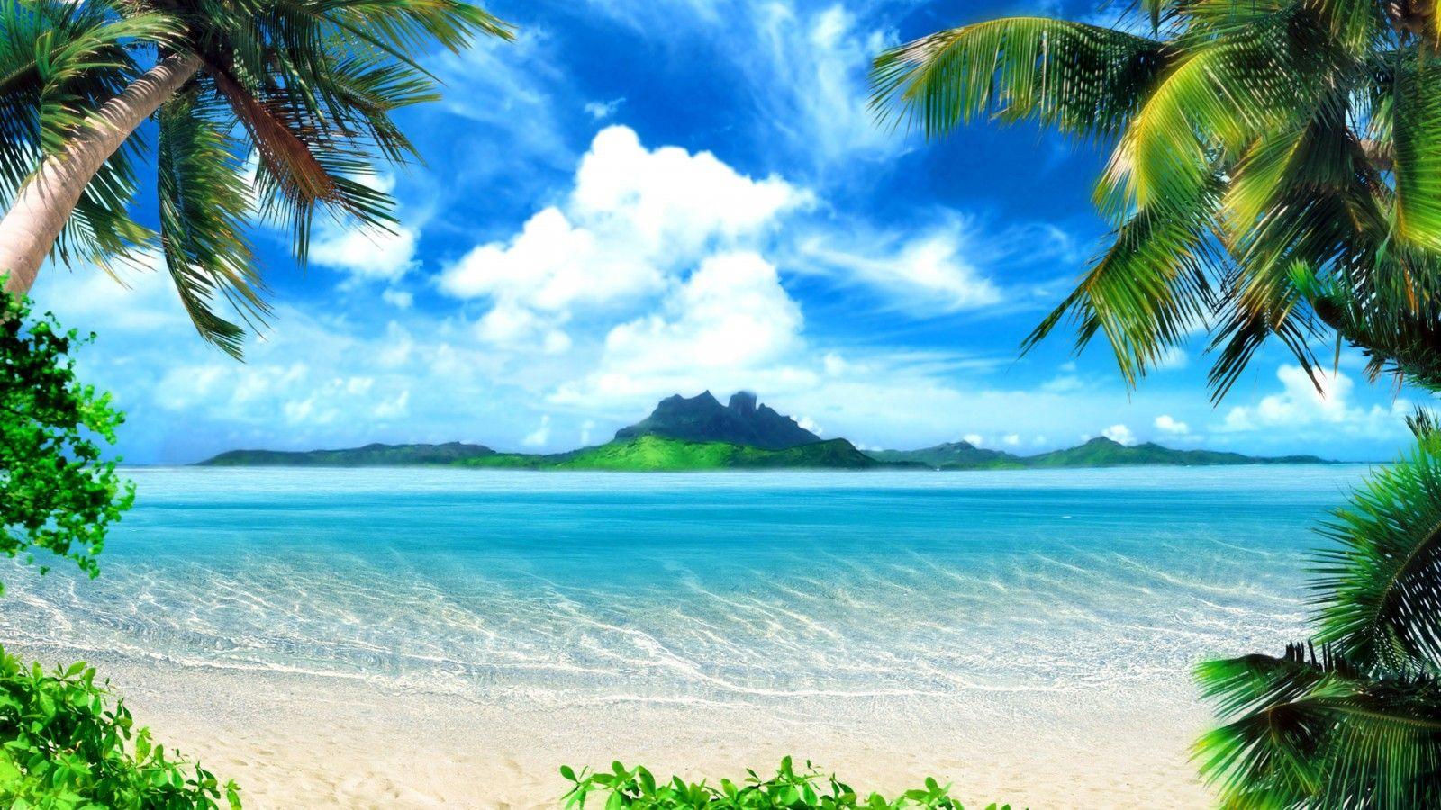Wallpaper ID: 548242 / sand, palm trees, palms, white, tropical, Sea,  beach, paradise, 2K, summer, salts, shore free download