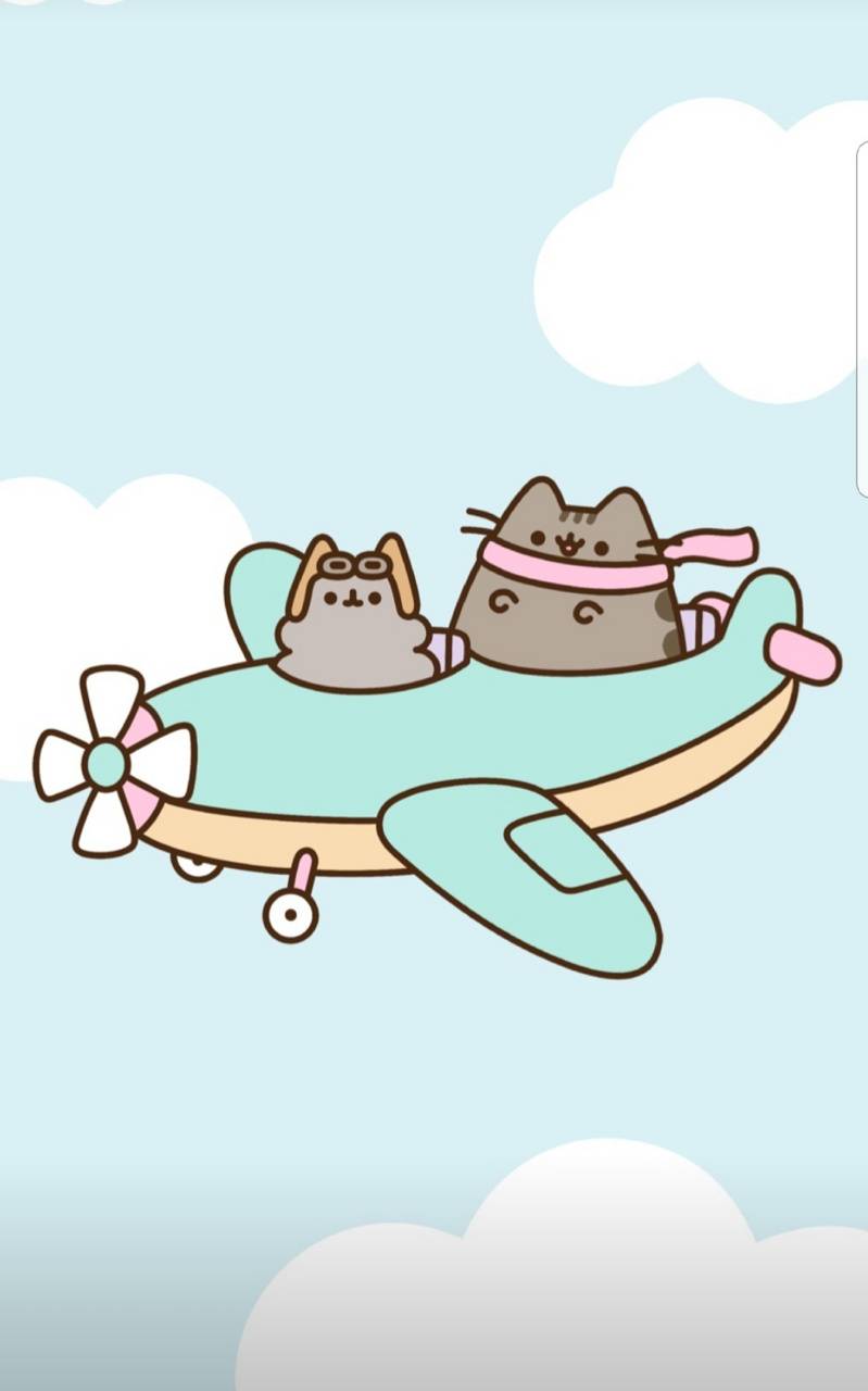 Pusheen Summer Wallpapers - Top Free Pusheen Summer Backgrounds - WallpaperAccess