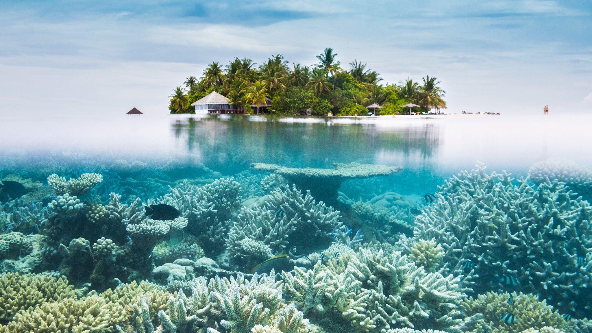 2048x1152 Best Island Beaches for Swimming and Snorkeling. Condé Nast Traveler