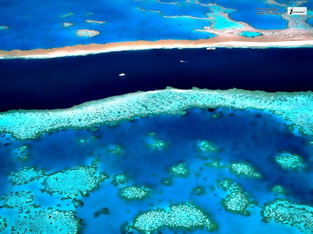 1024x768 Coral Reefs wallpaper. Coral Reefs wallpaper