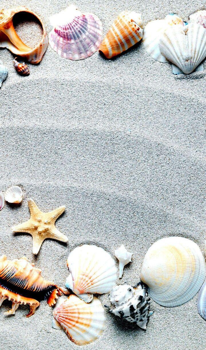 720x1222 background, beach, beautiful, beauty, nature, sand, shells, solar, summer, sun, sunlight, sunshine, wallpaper, we heart it, iphone wallpaper iphone