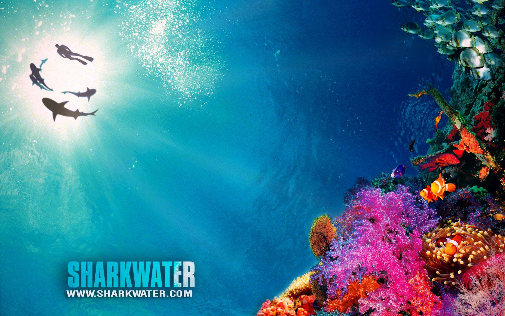 1680x1050 Looking for reef wallpaper! Central Online Community