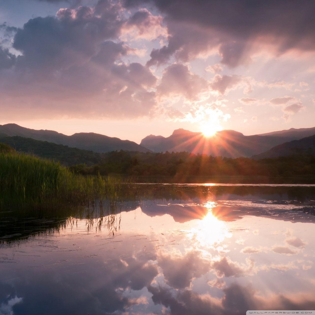 1280x1280 Summer Sunshine Ultra HD Desktop Background Wallpaper for 4K UHD TV : Multi Display, Dual Monitor : Tablet