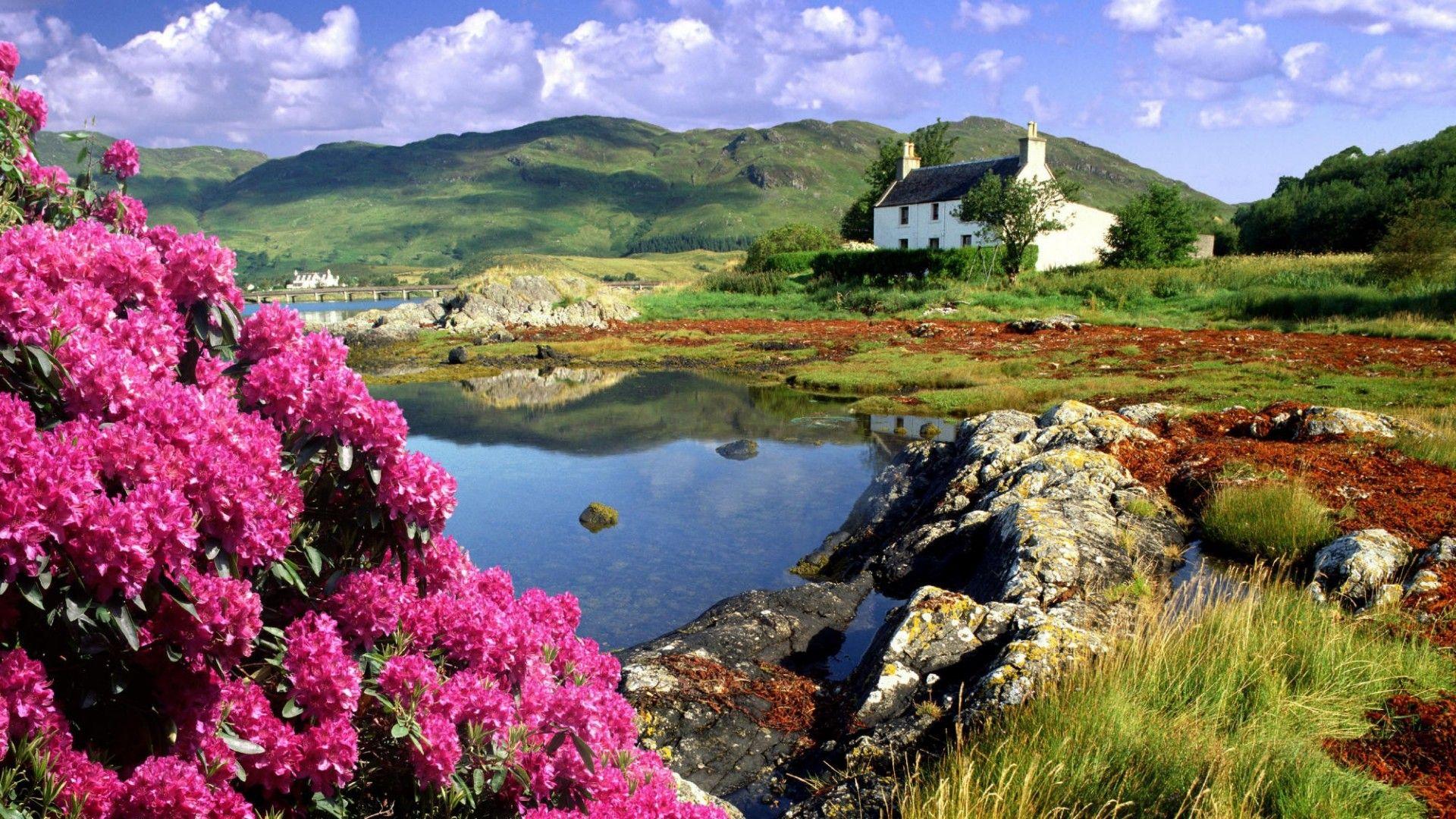 1920x1080 Scots Irish Wallpaper. Scots Irish Wallpaper, Scots Irish Born Fighting Wallpaper And