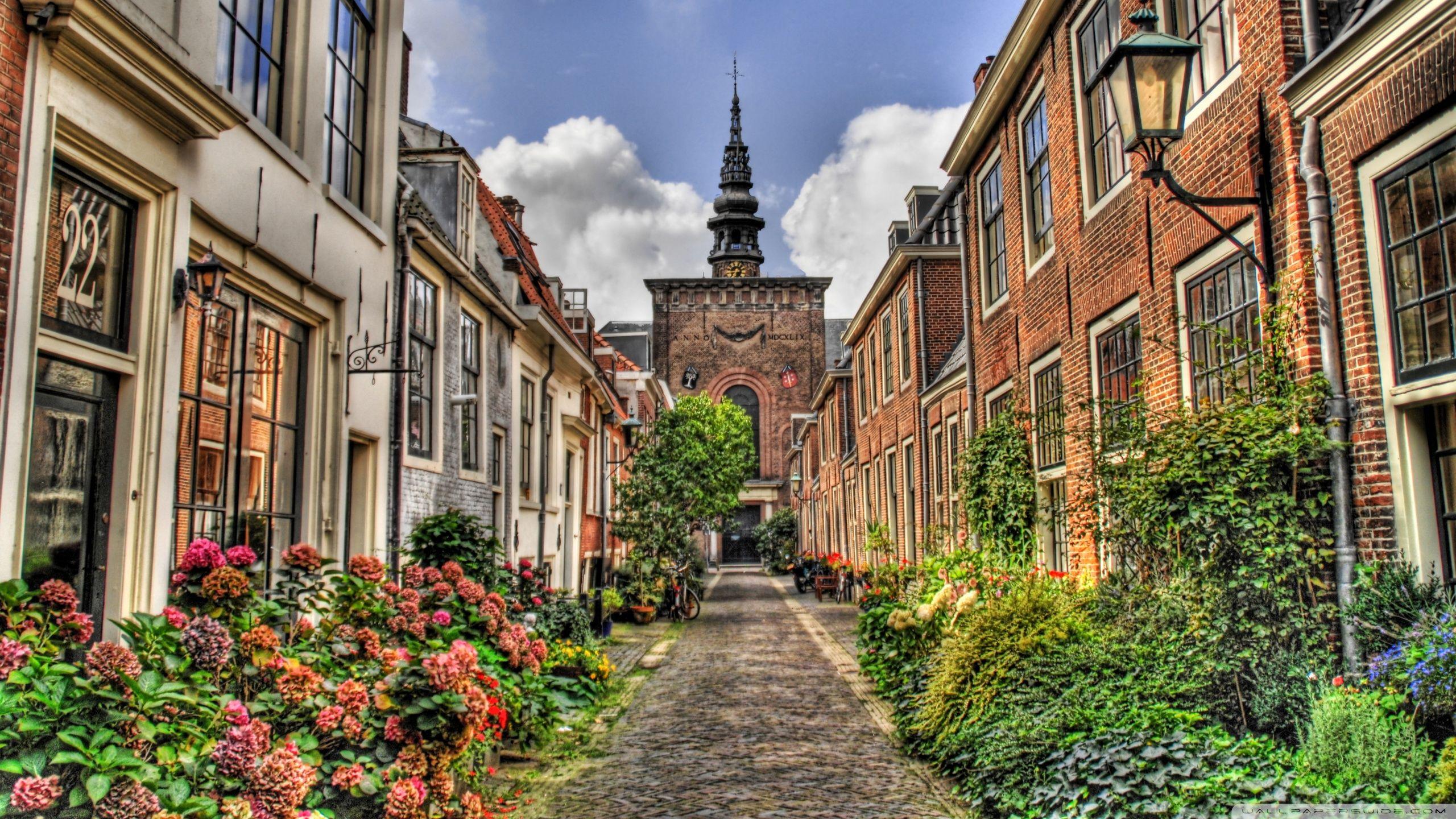 2560x1440 Street In Holland ❤ 4K HD Desktop Wallpaper for 4K Ultra HD TV