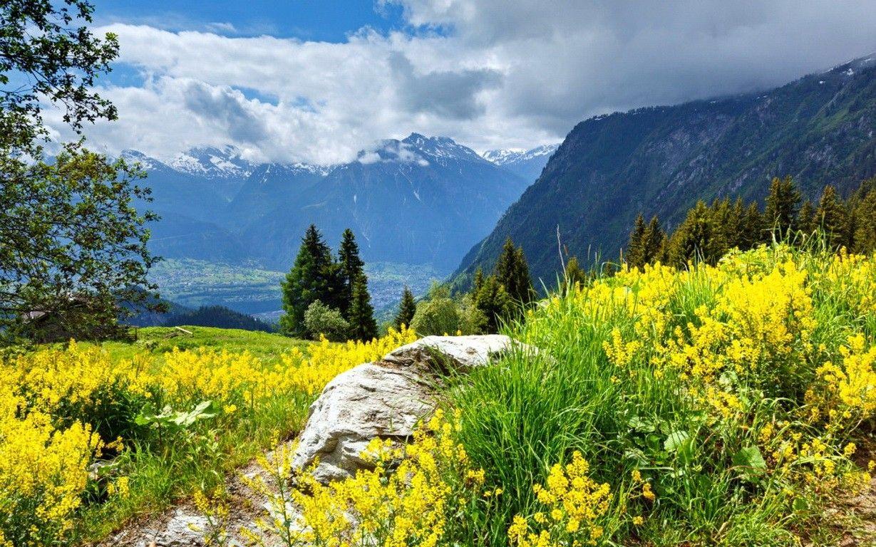 1229x768 Alpine Tag wallpaper: Alpine Fog Coolness Clouds Panorama Lake