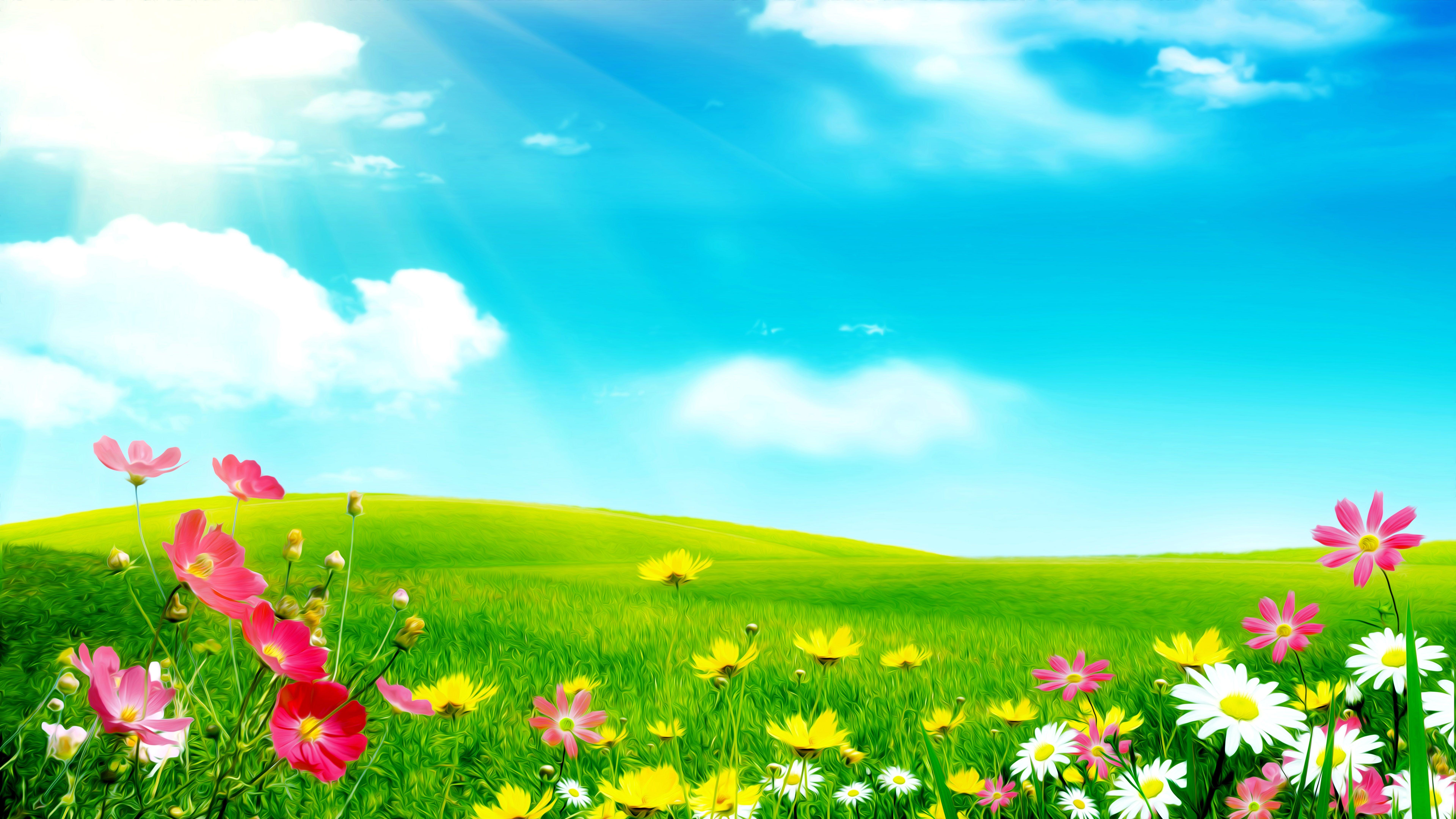 7680x4320 Meadow Flower. Free Desktop Wallpaper for Widescreen, HD and Mobile