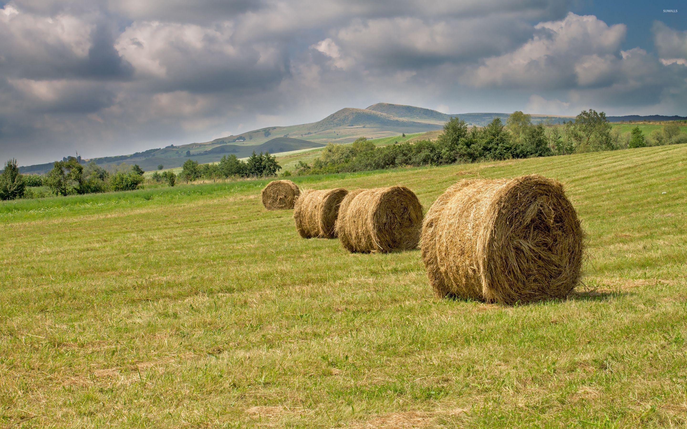 2880x1800 Hay bales on the meadow wallpaper wallpaper
