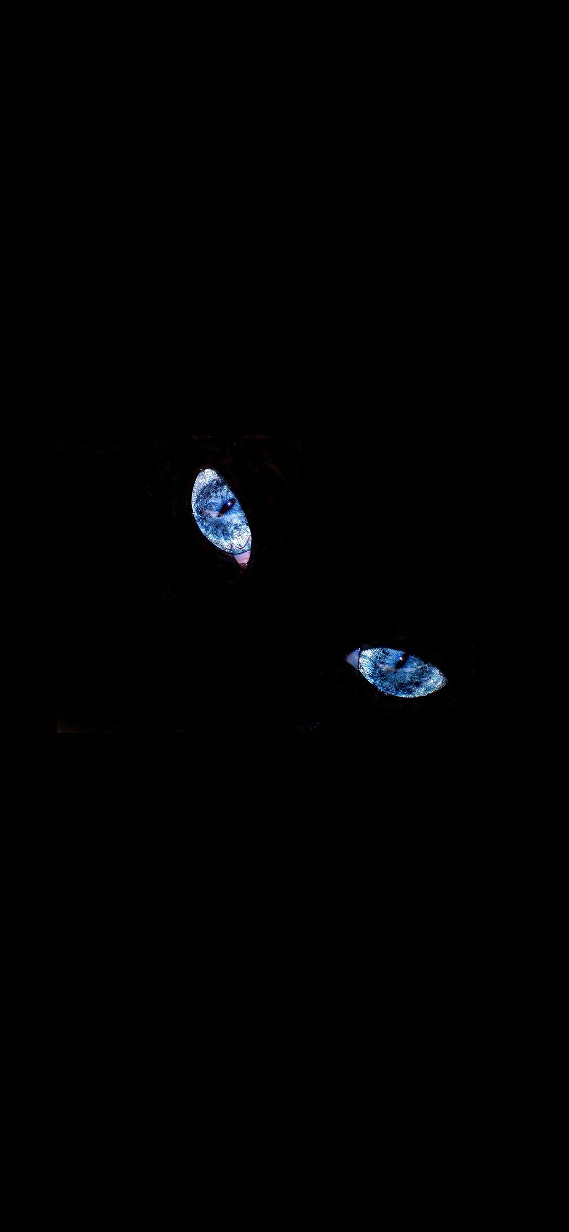 1125x2436 iPhone wallpaper. blue eyed cat minimal animal simple dark