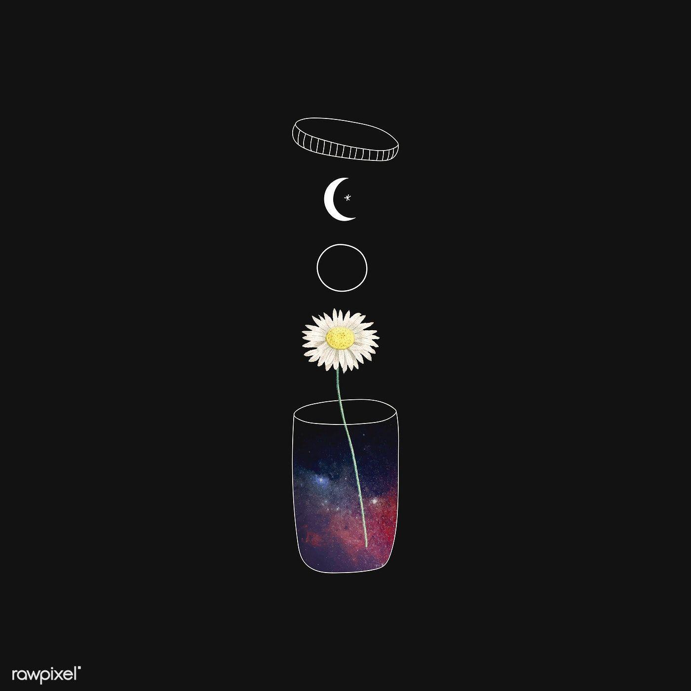 Pretty Black Wallpapers Top Free Pretty Black Backgrounds