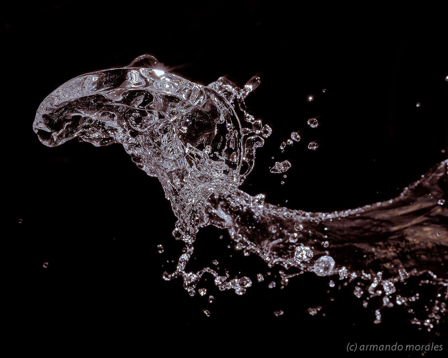 1440x1152 Black Water Wallpaper. Black Wallpaper, Amazing Black Wallpaper and Black Victorian Wallpaper
