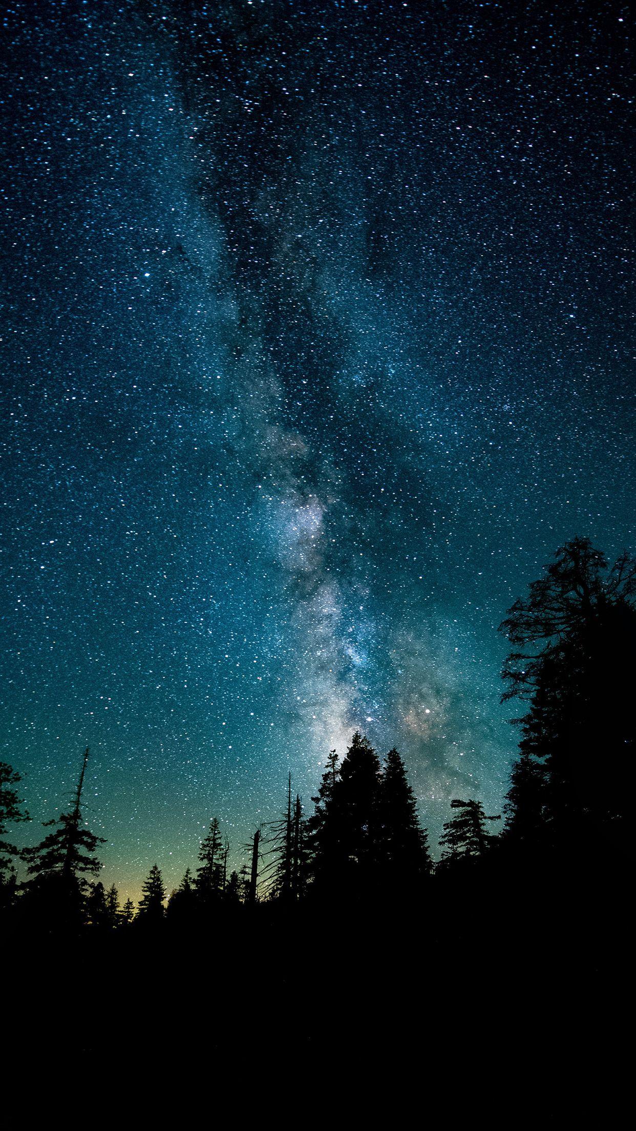1242x2208 Night Sky Star Space Nature Wallpaper