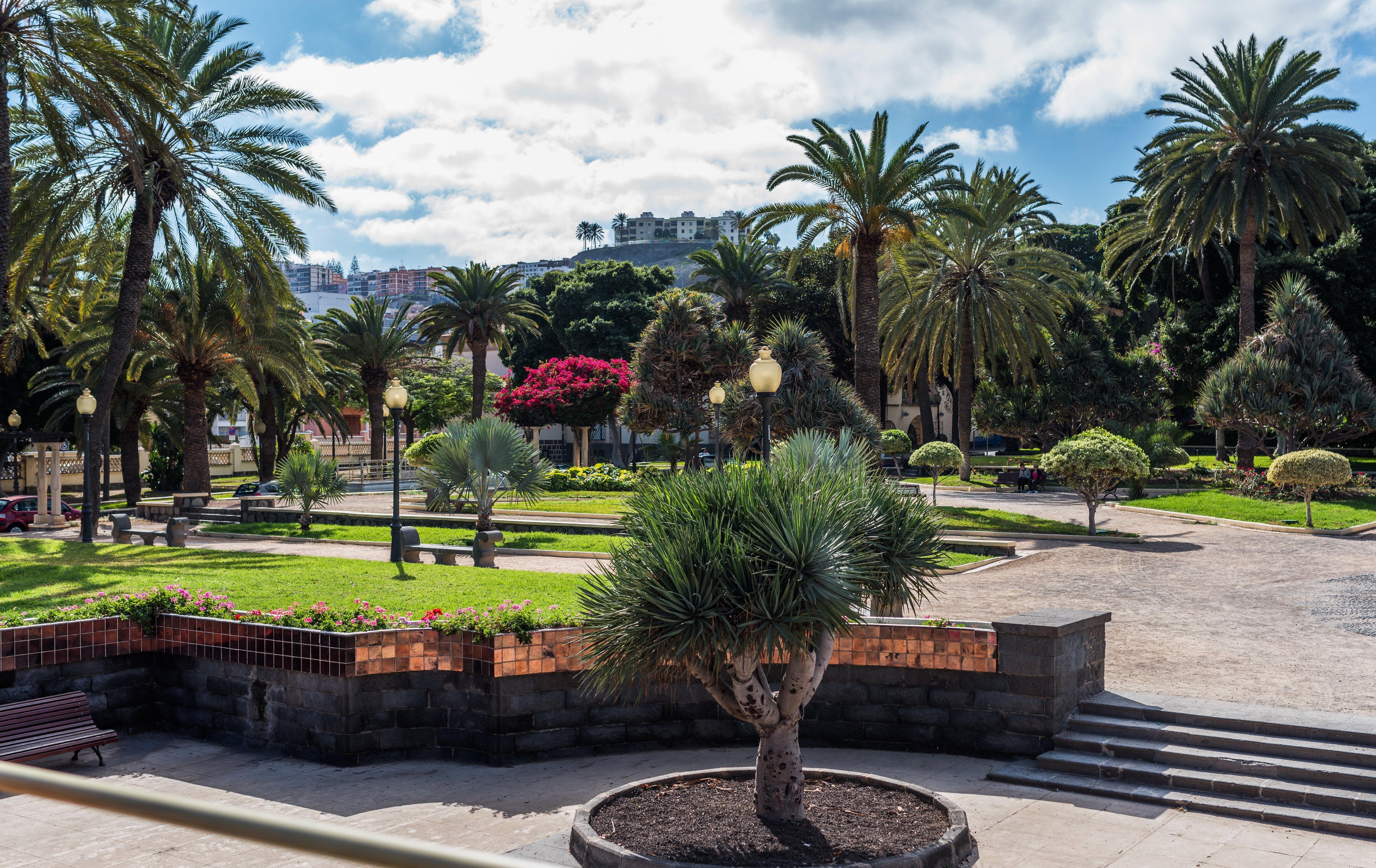 6481x4091 Landscapes: Parks Spain Canary Street Palmas Trees Islands Palma