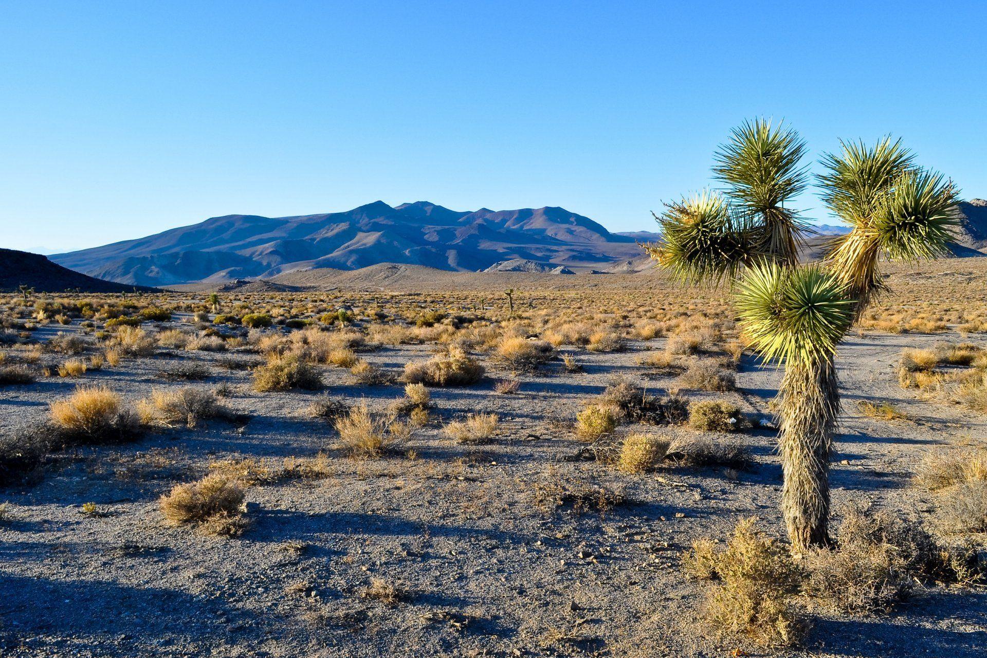 California Desert Wallpapers - Top Free California Desert Backgrounds 