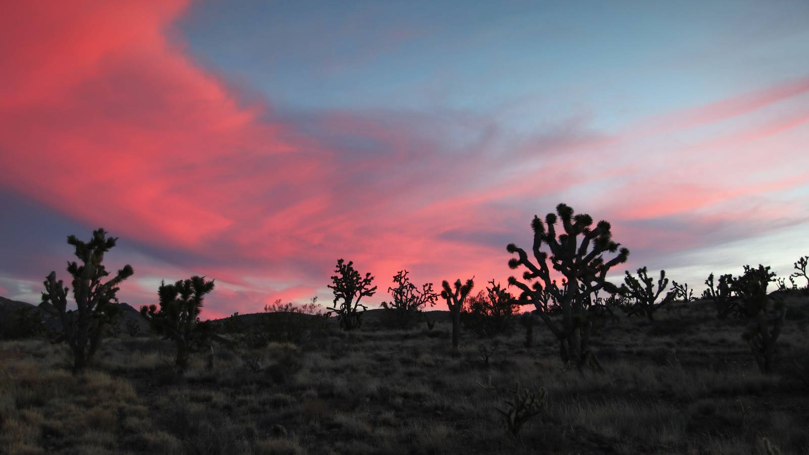 1600x900 A Sad Anniversary for the California Desert · National Parks