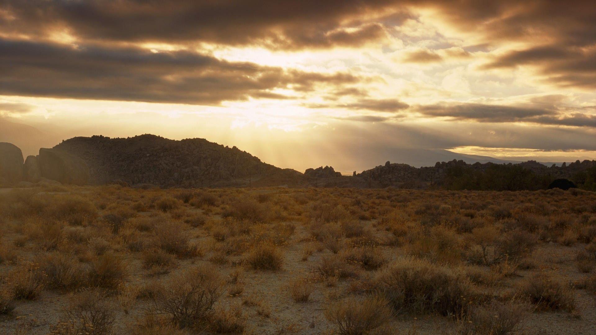 1920x1080 Desert: Sunrise Desert Clouds Desrt Brushes Mountains Mist