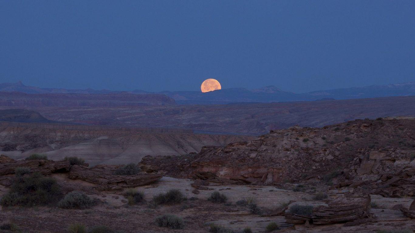 1366x768 Deserts: Landscape Bushes Desert Rocks Nature Canyon Moon Sky